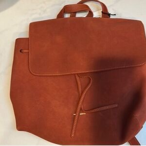 Nwt Mansur Gavriel Suede Backpack Tote Bag In Brick